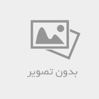حبیب